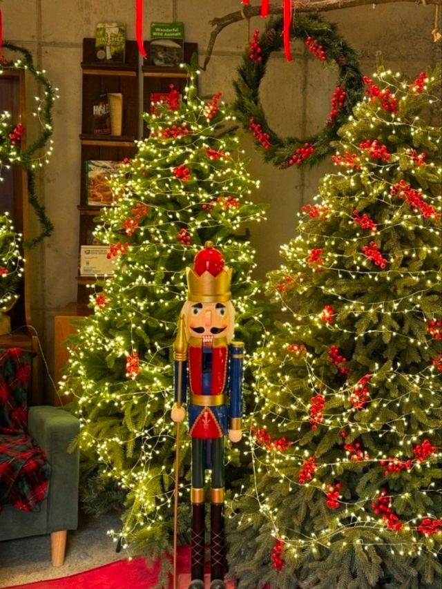 크리스마스의 온기를 느낀 따뜻한 순간, 빌리앤오티스 크리스마스의 온기를 느낀 따뜻한 순간, 빌리앤오티스