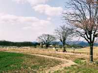 韓國🇰🇷 瞻星台