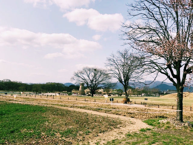 韓國🇰🇷 瞻星台 韓國🇰🇷 瞻星台