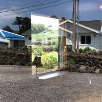 제주 동쪽 감성 카페 이에르바🍊