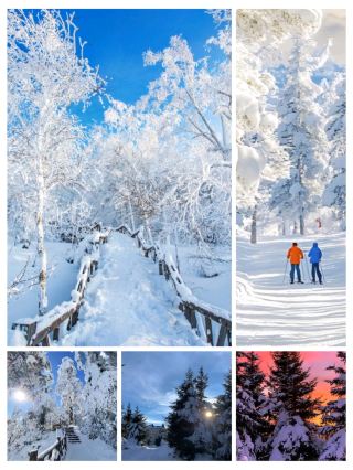 #skitrip

先鋒雪嶺 – 冬日的無盡之地