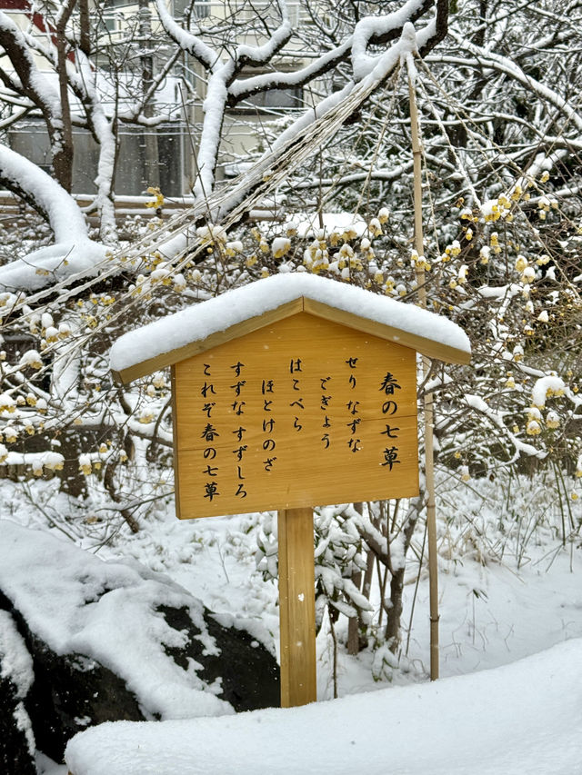 ❄️ A Silent Snowy Morning in Edo’s Garden