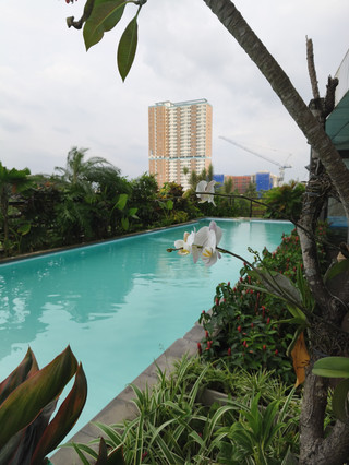 Swiss-Belcourt Serpong, Homey & Comfortable.