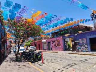 【オアハカ🇲🇽】街歩きがもっと楽しくなる！カラフルな壁画がたくさん「ハラトラコ地区」