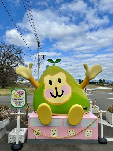 JP) Places to Visit in Beppu! Monkey Paradise at Takasakiyama
