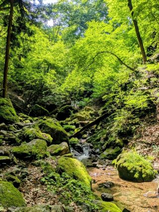 猶如吉卜力嘅動畫世界？御岳山Rock Garden。