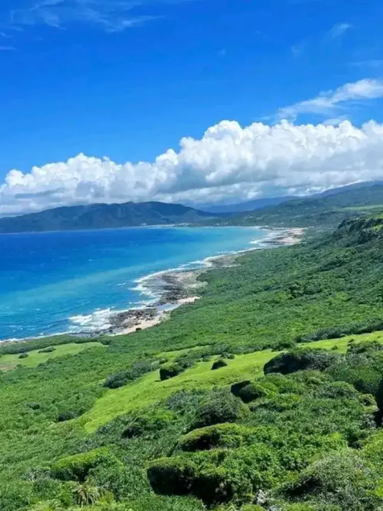墾丁最靚森系打卡熱點🌳