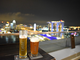Singapore 3 Nights 4 Days Travel Itinerary Guide