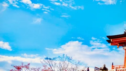 ทางเดินเลียบอ่าว Senbonhama ในเมือง Numazu จุดชมวิวที่สวยจับใจ — traveler post in นุมะซุ