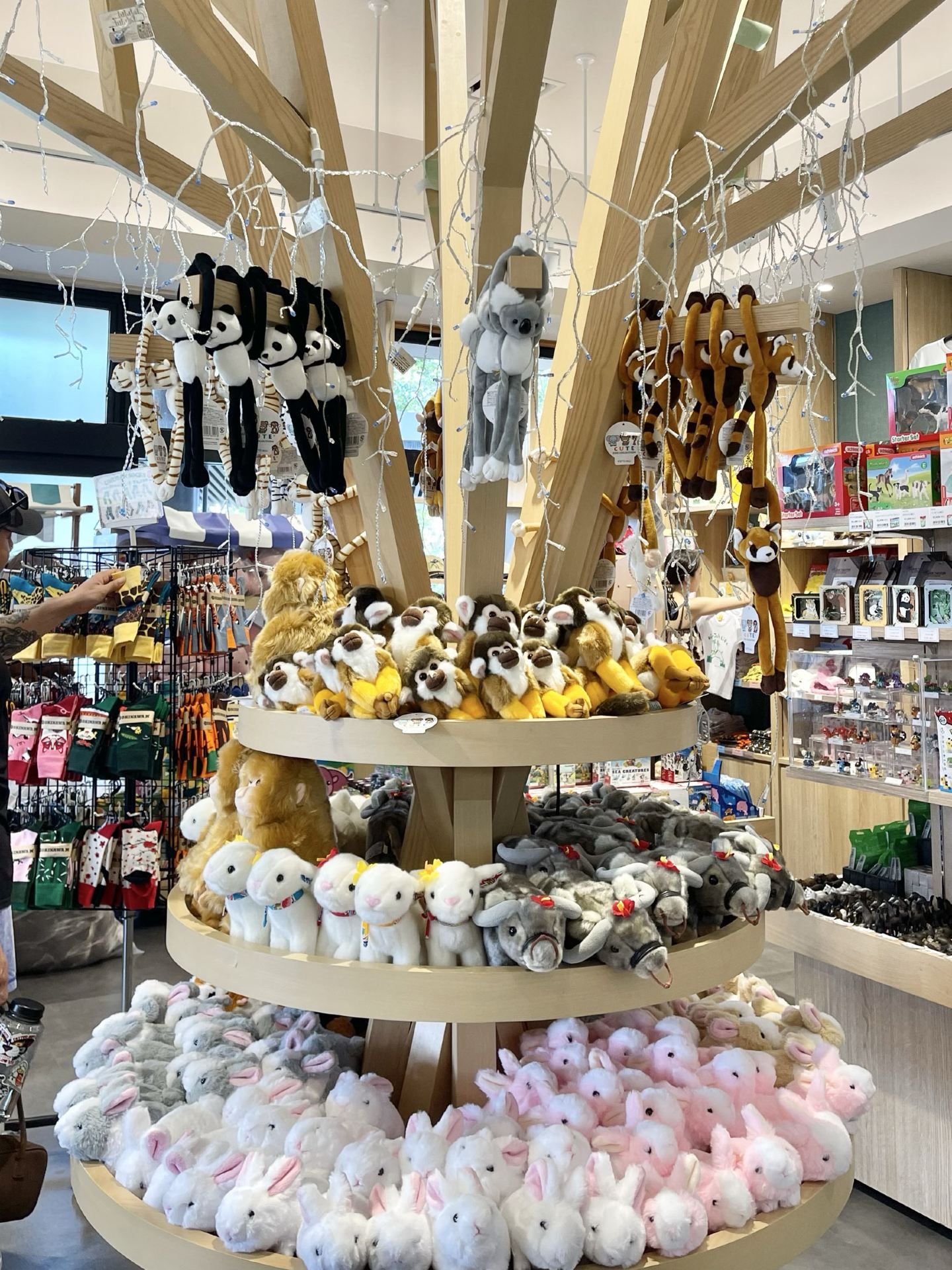 What souvenirs can you find at Okinawa Zoo?