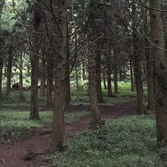 제주 | 오름 중에서 제일 감성있는 금오름 ⛰️ 제주 | 오름 중에서 제일 감성있는 금오름 ⛰️