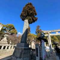 The Dazaifu Tenmangu Shrine