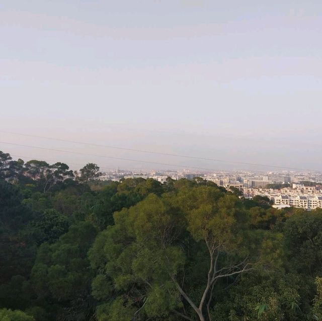 Xiamen home of beauty 