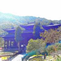 Confucius Monastery and Buddha Temple Hunan