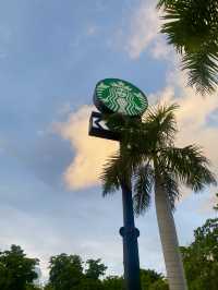 【ドミニカ】おみやげにオススメ！スターバックスの限定商品紹介💚