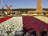 Dubai Miracle Garden in Spring 