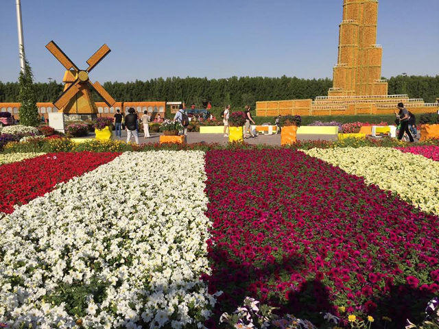 Dubai Miracle Garden in Spring 
