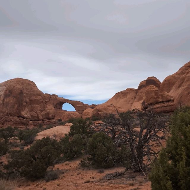 Arches National Park