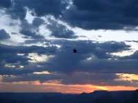 Grand Canyon Day Trip