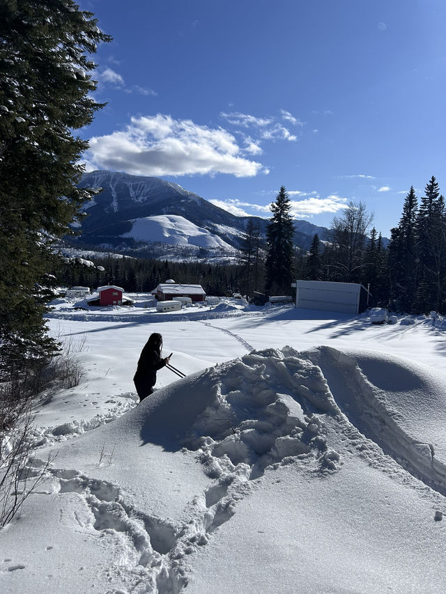 🇨🇦カナダでの冬の過ごし方☃️