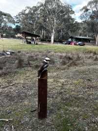 Nature beauty near Canberra