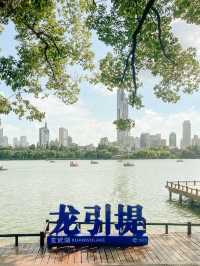 Peaceful Afternoon at Xuanwu Lake 🌿✨