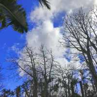 Southeast Botanical Garden