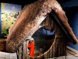 Viking Relics Unveiled⚡