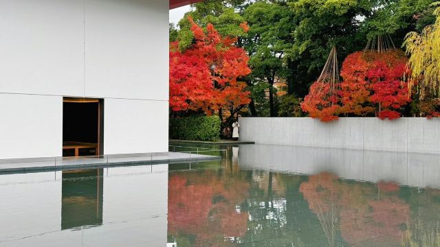 Kanazawa, Japan 🇯🇵 D.T. Suzuki Museum: A pool of autumn water