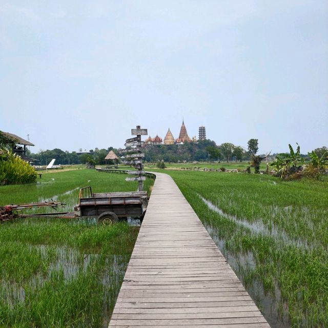 Wat Tham Suea view at MEENA Cafe