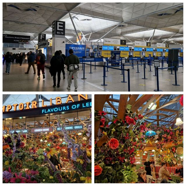🍔✈️ Foodie Heaven at Stansted Airport! 😋🛫