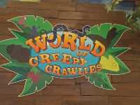 World of Creepy Crawlers Manila 🗺️