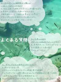 【世界遺産/クロアチア】プリトヴィツェ湖郡国立公園完全攻略