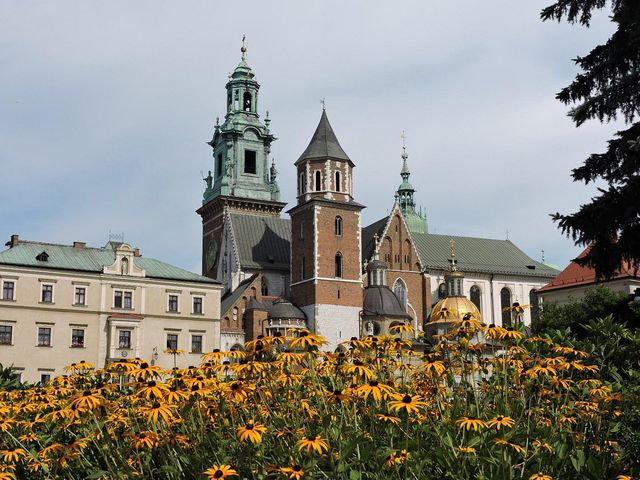 Krakow Chronicles: A Polish Tapestry 🏰🇵🇱