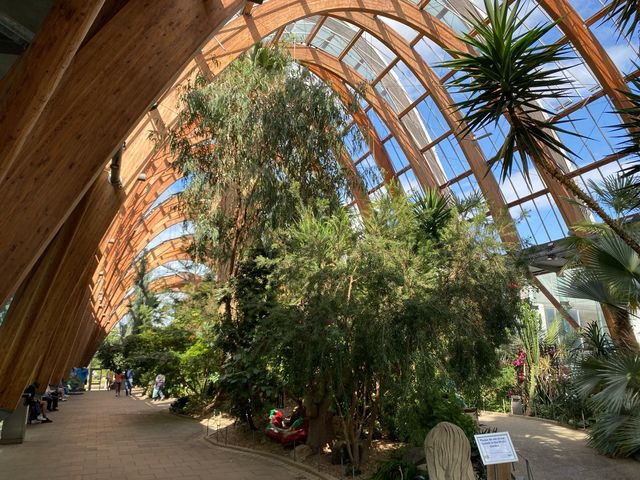  A Stroll Through Sheffield's Winter Garden⛲️