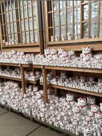 ⛩️豪德寺🐱藏有大量招財貓雕像的佛寺