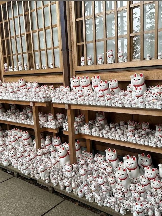 ⛩️豪德寺🐱藏有大量招財貓雕像的佛寺