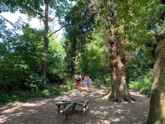 Serene Day at Lullingstone Country Park 🌳🌼