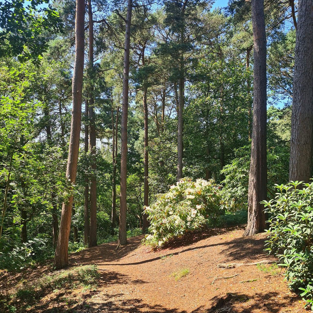 National Trust - Sheringham Park 🗺️