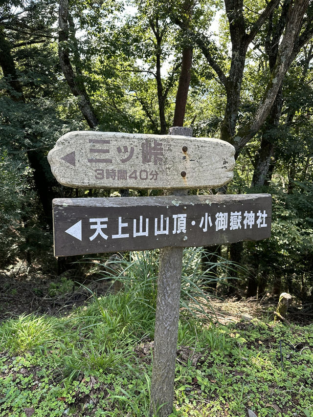 【東京旅行8天7夜！河口湖天上山公園！富士山絕美的景色！】