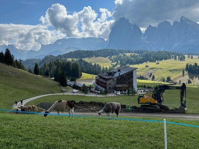⛰️ 이탈리아 돌로미티 (Alpe di Siusi) 트래킹 후기