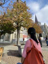    โลซานน์ (Lausanne) ตามลอย ร.9