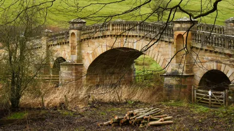 A winter break in Wallington, National Trust! — traveler post in Morpeth