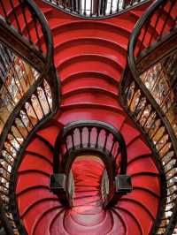 Complete Guide of Livraria Lello