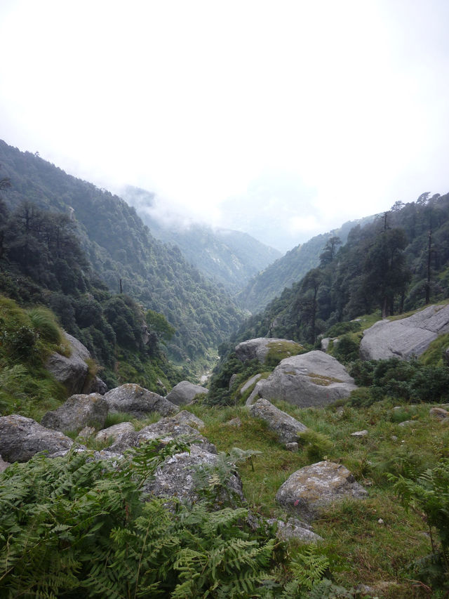 Triund Hike, Dharamshala