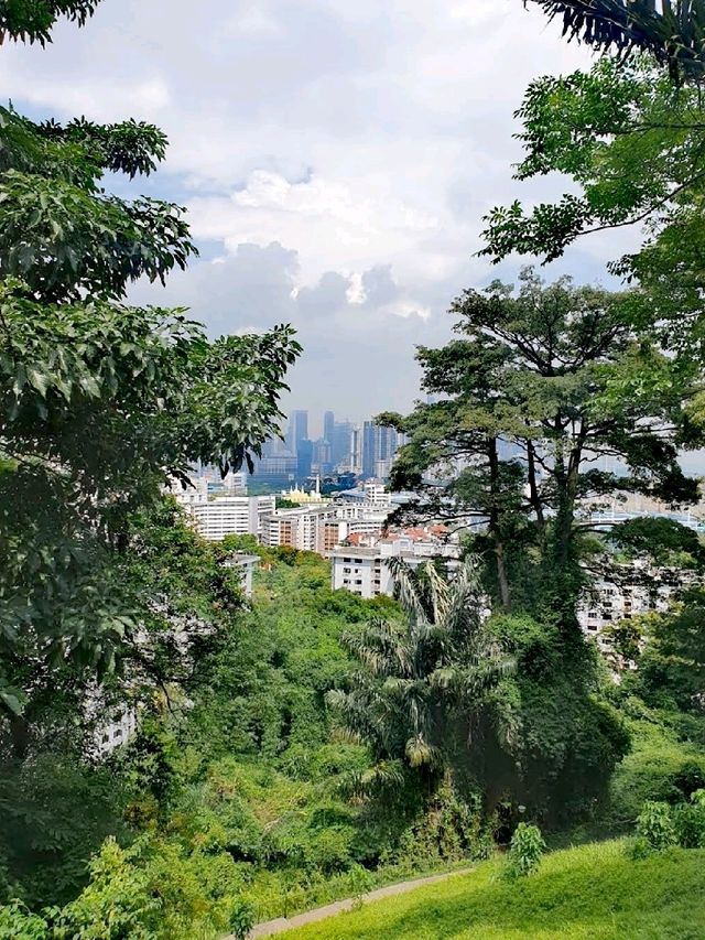 南部山脊
