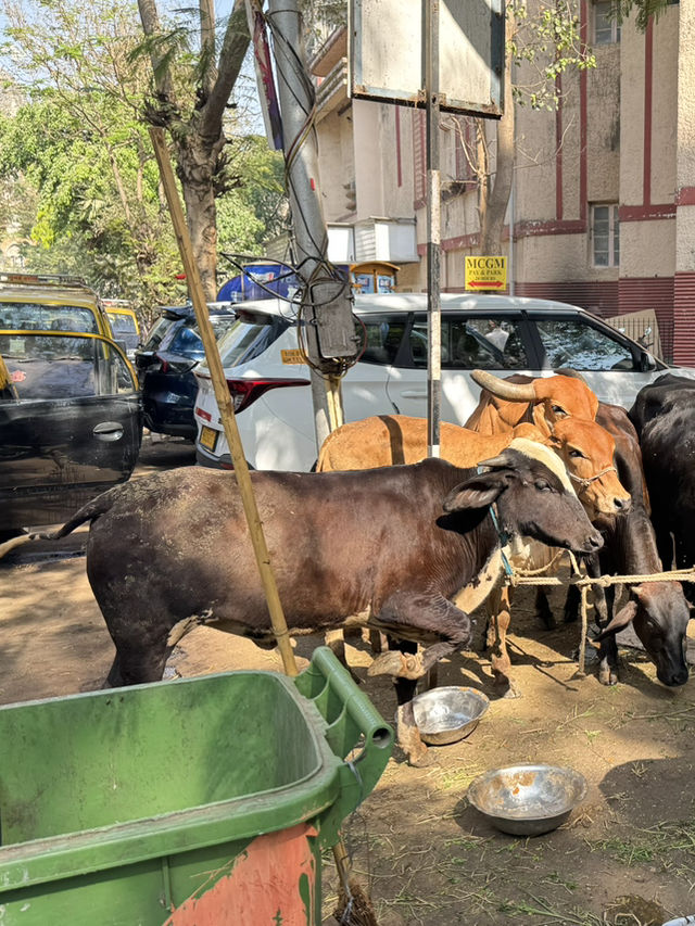 Day 1 - Mumbai 