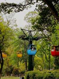 Wuxi Day Trip: Huishan Ancient Town & Nanchang Street