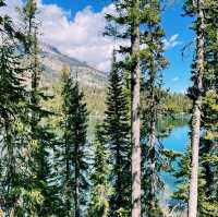 🏞️ Top Hikes in Grand Teton National Park
