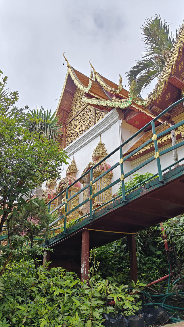 Island or Mountains? How to Choose Your Thailand Adventure 🇹🇭🏝️⛰️